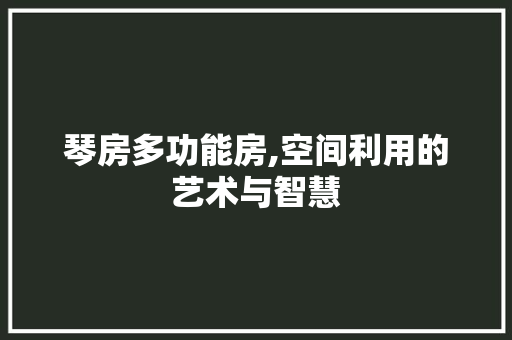 琴房多功能房,空间利用的艺术与智慧