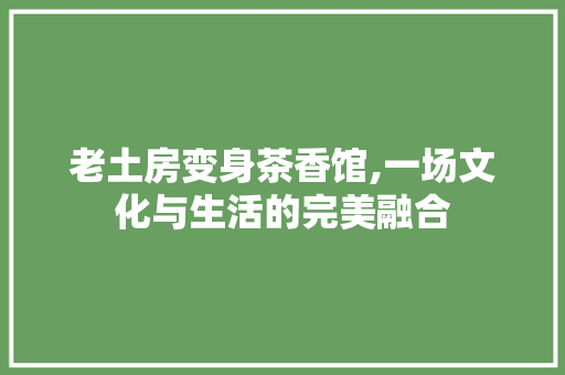 老土房变身茶香馆,一场文化与生活的完美融合