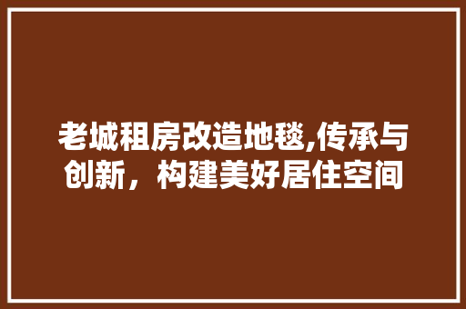 老城租房改造地毯,传承与创新，构建美好居住空间