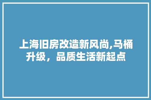 上海旧房改造新风尚,马桶升级，品质生活新起点