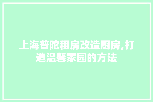 上海普陀租房改造厨房,打造温馨家园的方法