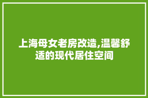 上海母女老房改造,温馨舒适的现代居住空间