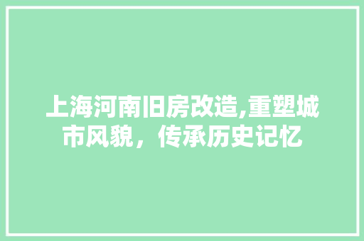 上海河南旧房改造,重塑城市风貌，传承历史记忆