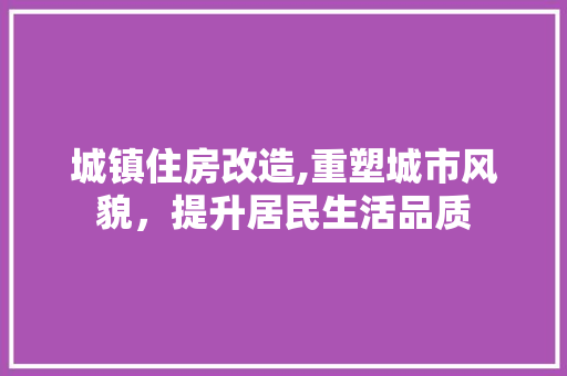 城镇住房改造,重塑城市风貌，提升居民生活品质