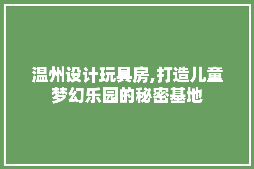 温州设计玩具房,打造儿童梦幻乐园的秘密基地