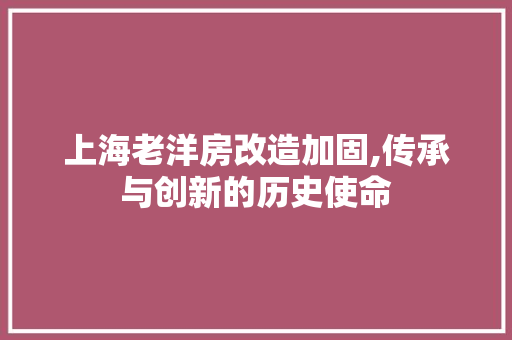 上海老洋房改造加固,传承与创新的历史使命
