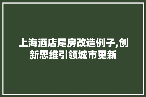 上海酒店尾房改造例子,创新思维引领城市更新