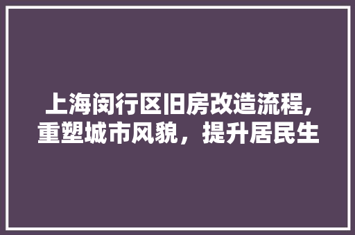 上海闵行区旧房改造流程,重塑城市风貌，提升居民生活品质