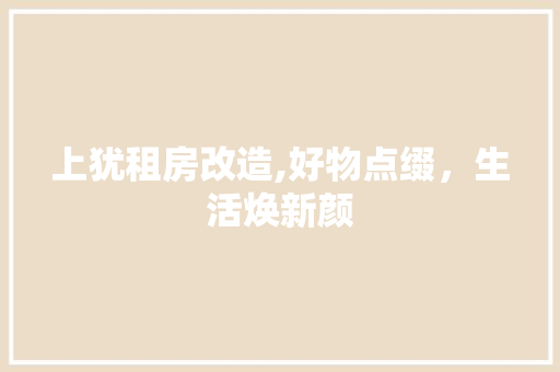 上犹租房改造,好物点缀，生活焕新颜