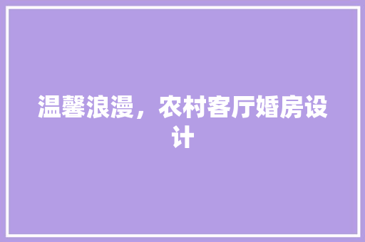 温馨浪漫，农村客厅婚房设计