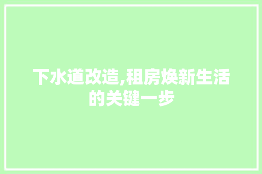 下水道改造,租房焕新生活的关键一步