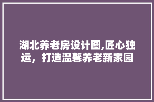 湖北养老房设计图,匠心独运，打造温馨养老新家园