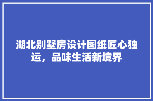 湖北别墅房设计图纸匠心独运，品味生活新境界