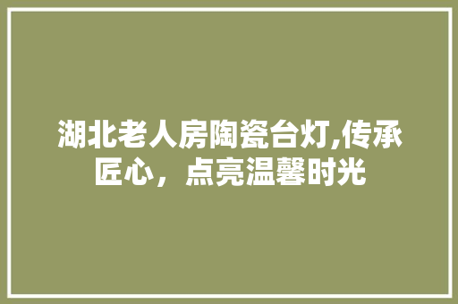 湖北老人房陶瓷台灯,传承匠心，点亮温馨时光