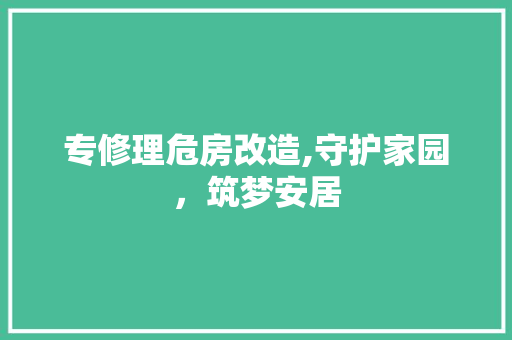 专修理危房改造,守护家园，筑梦安居