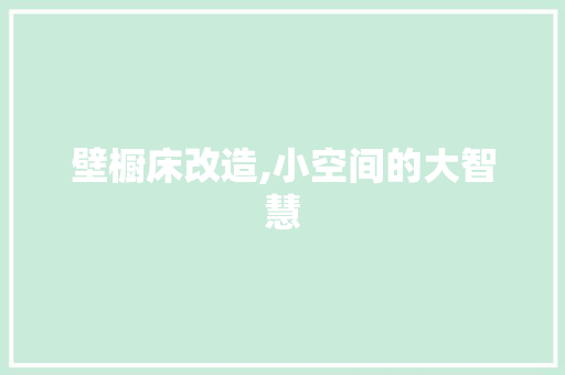 壁橱床改造,小空间的大智慧
