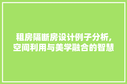 租房隔断房设计例子分析,空间利用与美学融合的智慧之路