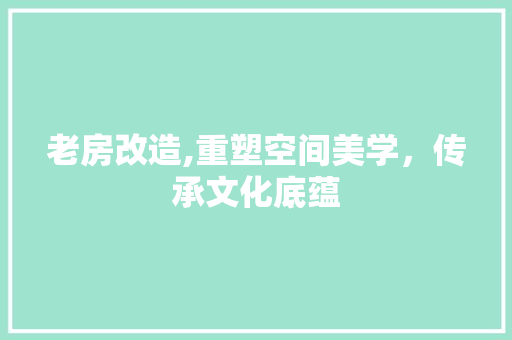 老房改造,重塑空间美学，传承文化底蕴