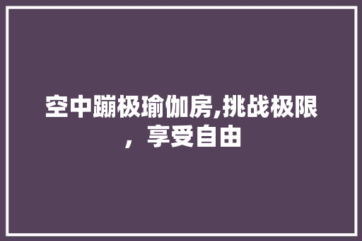 空中蹦极瑜伽房,挑战极限，享受自由