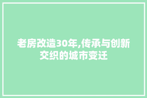 老房改造30年,传承与创新交织的城市变迁