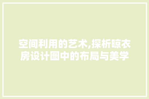 空间利用的艺术,探析晾衣房设计图中的布局与美学