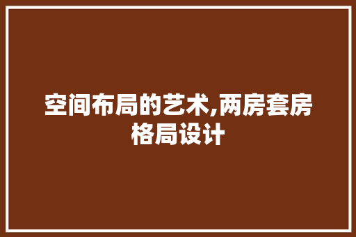 空间布局的艺术,两房套房格局设计