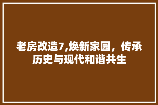 老房改造7,焕新家园，传承历史与现代和谐共生