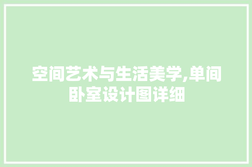 空间艺术与生活美学,单间卧室设计图详细