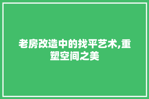 老房改造中的找平艺术,重塑空间之美
