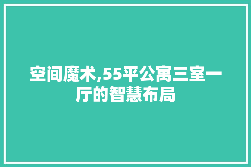 空间魔术,55平公寓三室一厅的智慧布局