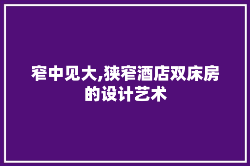窄中见大,狭窄酒店双床房的设计艺术