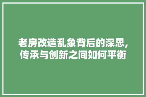 老房改造乱象背后的深思,传承与创新之间如何平衡