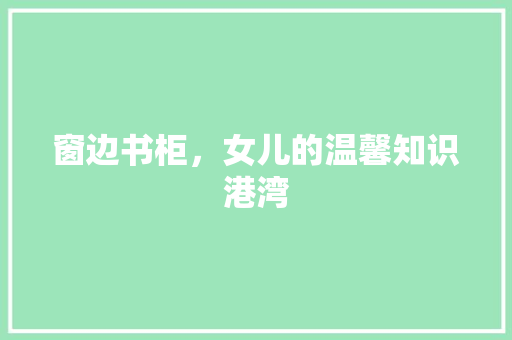 窗边书柜，女儿的温馨知识港湾