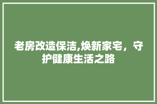 老房改造保洁,焕新家宅，守护健康生活之路