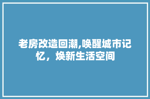 老房改造回潮,唤醒城市记忆，焕新生活空间