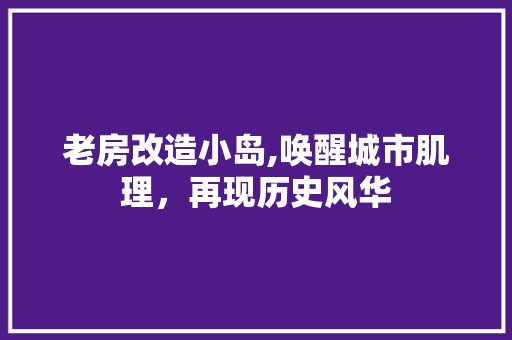 老房改造小岛,唤醒城市肌理，再现历史风华
