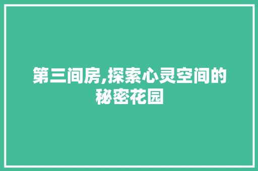 第三间房,探索心灵空间的秘密花园