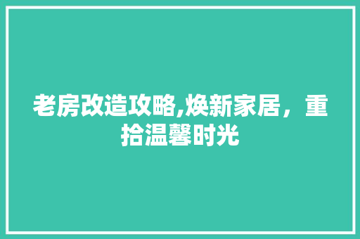 老房改造攻略,焕新家居，重拾温馨时光