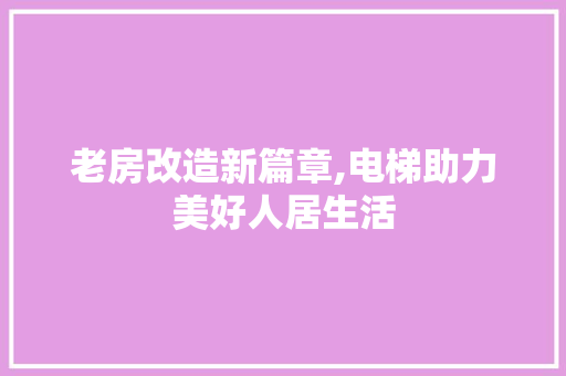 老房改造新篇章,电梯助力美好人居生活