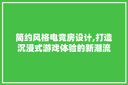 简约风格电竞房设计,打造沉浸式游戏体验的新潮流