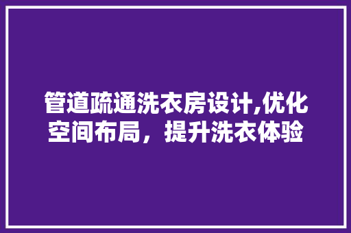 管道疏通洗衣房设计,优化空间布局，提升洗衣体验