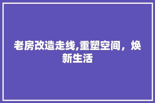 老房改造走线,重塑空间，焕新生活