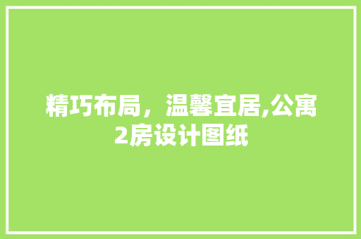 精巧布局，温馨宜居,公寓2房设计图纸