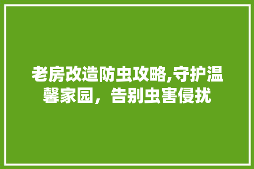 老房改造防虫攻略,守护温馨家园，告别虫害侵扰