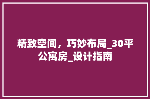 精致空间，巧妙布局_30平公寓房_设计指南