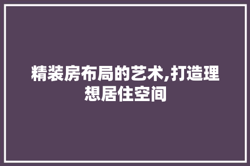 精装房布局的艺术,打造理想居住空间