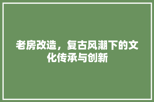 老房改造，复古风潮下的文化传承与创新