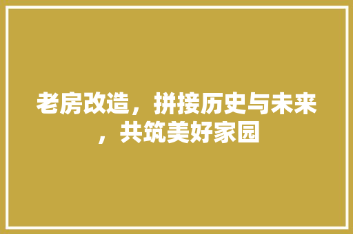 老房改造，拼接历史与未来，共筑美好家园