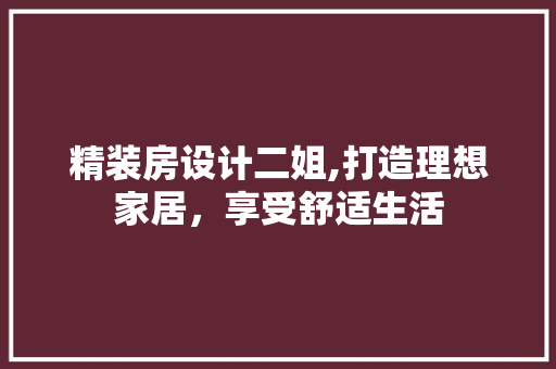 精装房设计二姐,打造理想家居，享受舒适生活