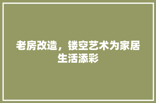 老房改造，镂空艺术为家居生活添彩